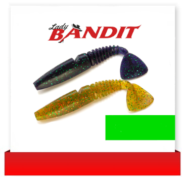 Soft baits, hooks, pegs, leader of fanatic - brand by world